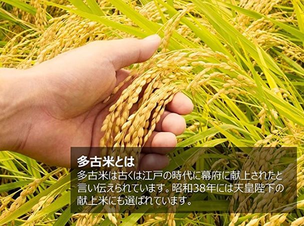 千葉県多古町産コシヒカリ白米 多古米