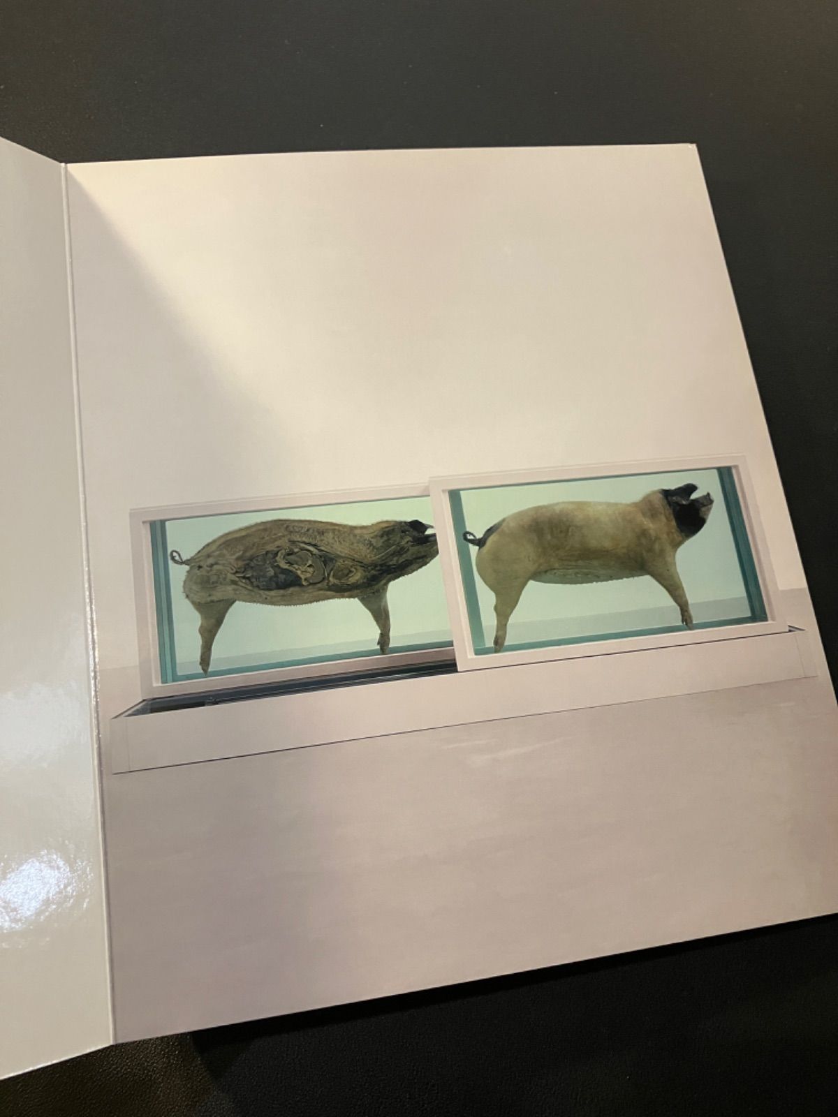 ダミアン・ハースト 図録 作品集 ABC Damien Hirst - メルカリ