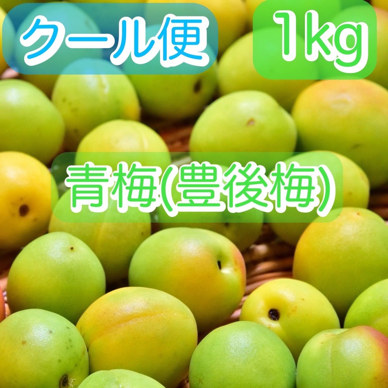 クール便！ 青森県産 青梅（豊後梅）不揃い 箱込み1㎏ 梅酒、梅シロップづくりに！ 6月下旬より収穫後、順次発送 - メルカリ