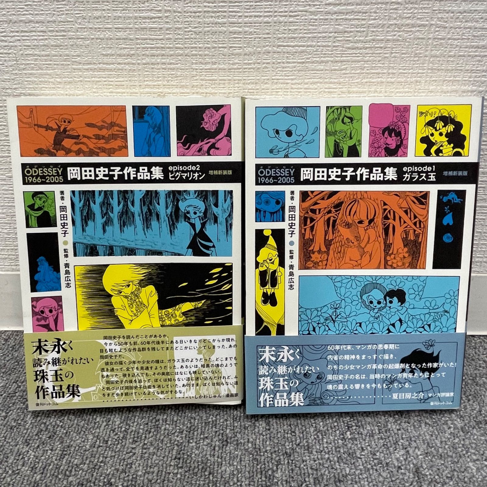 NPA】岡田史子 作品集 ODYSSEY オデッセイ 1966-2005 2種 ガラス