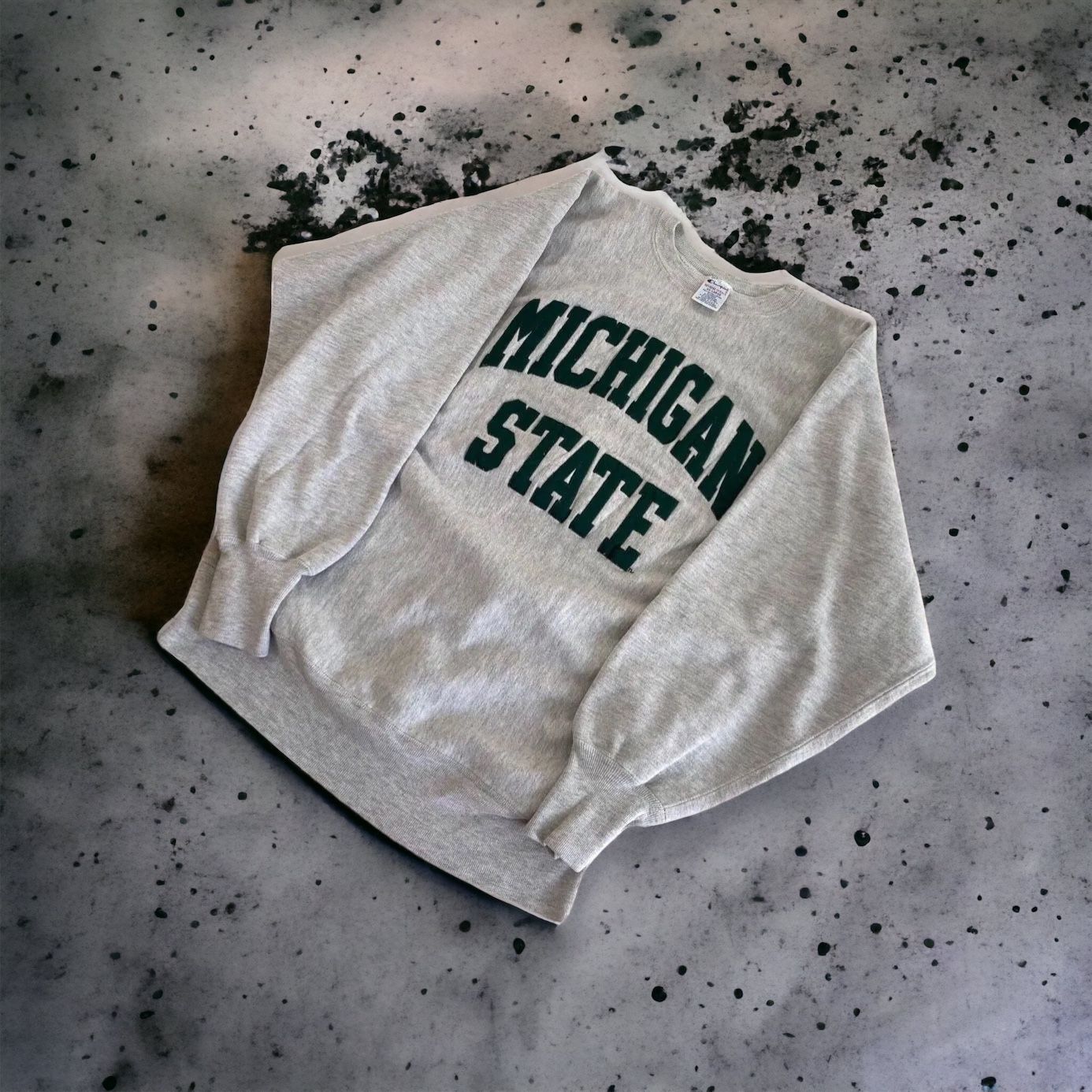 チャンピオン リバースウィーブ ミシガン トリコロール 二枚タグ