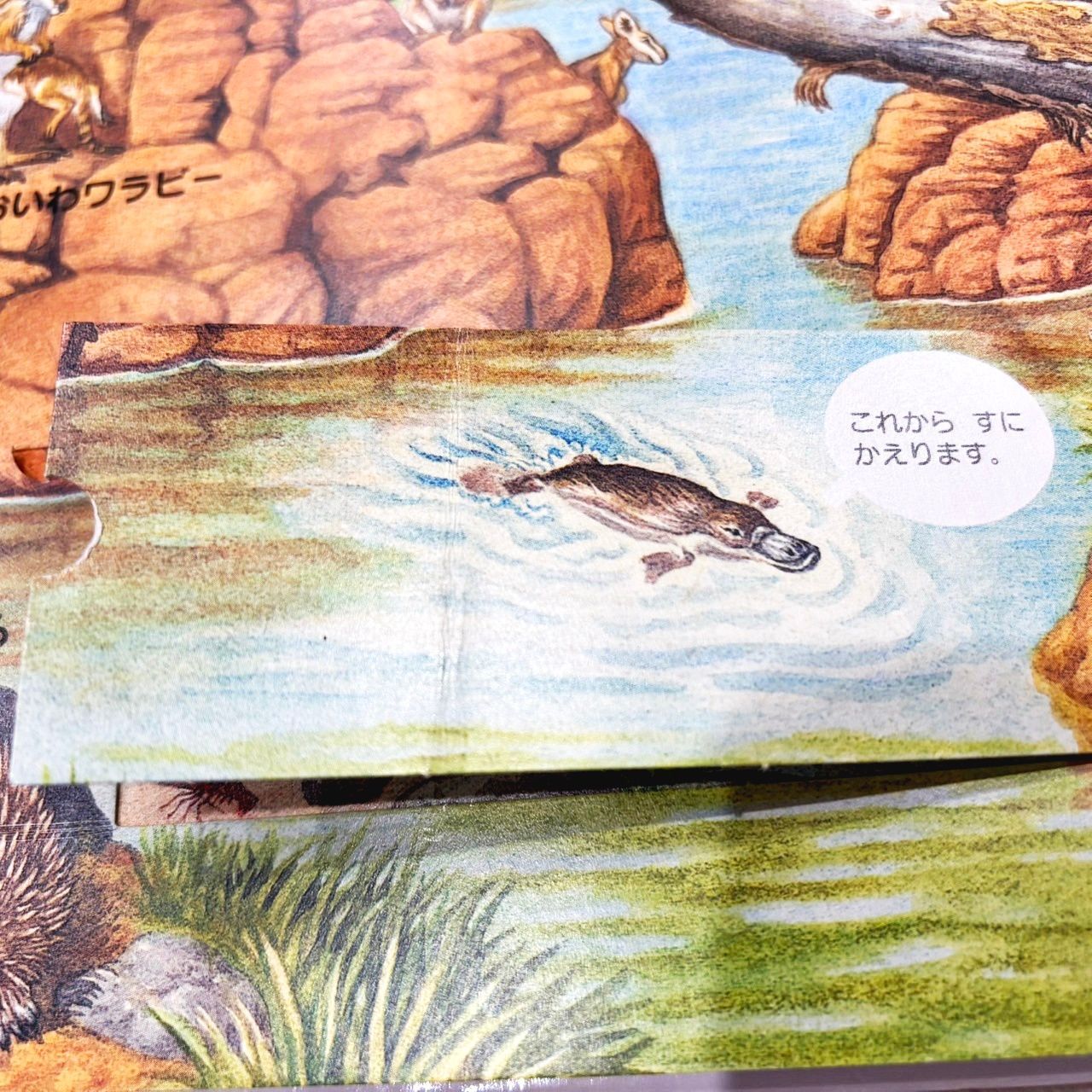 はっけんずかん　全10巻セット　Gakken まどあけしかけ　しごと図鑑 はっけんずかん 全10巻セット Gakken まどあけしかけ しごと図鑑 本