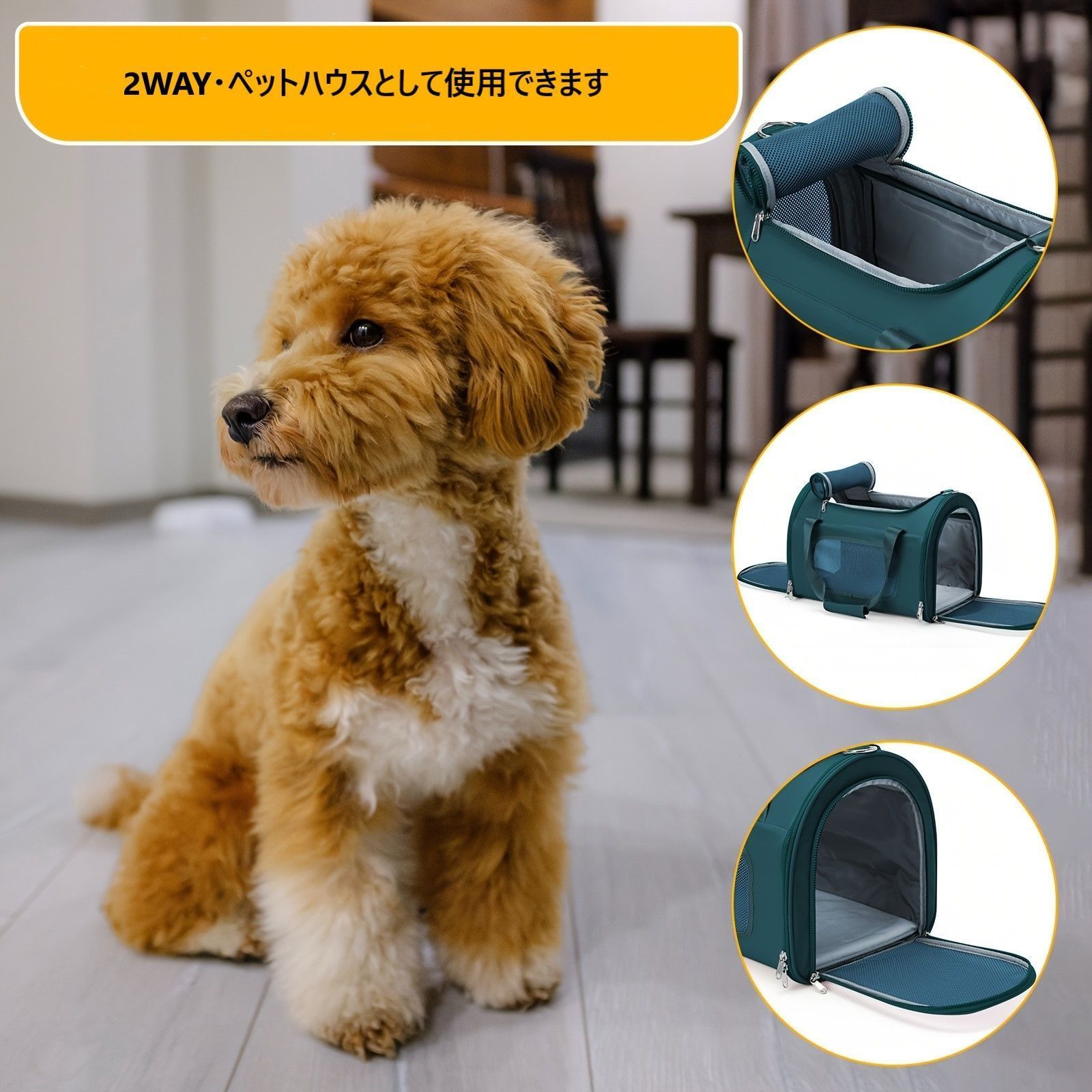 通院 お出かけ