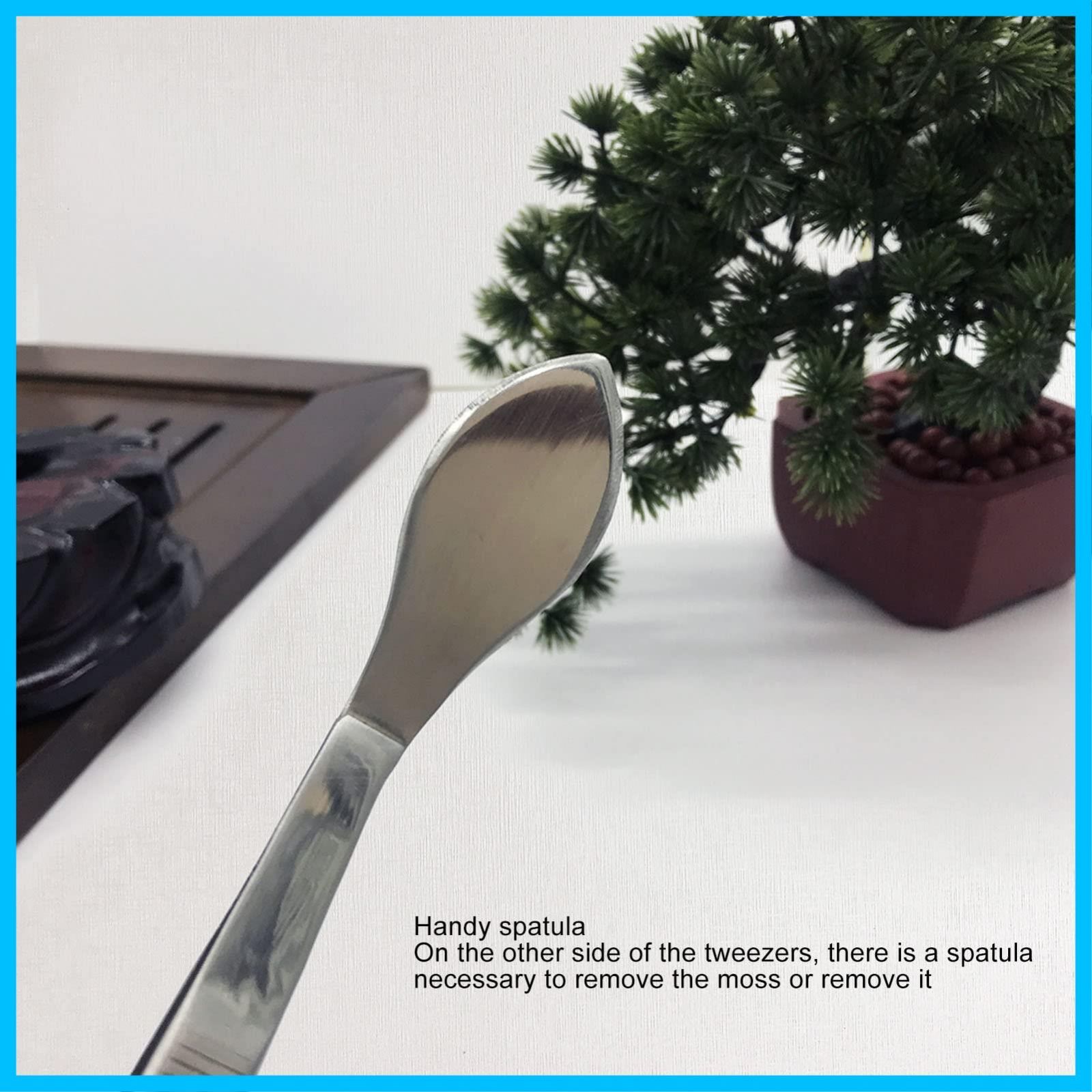 多肉 鉢植えピンセット