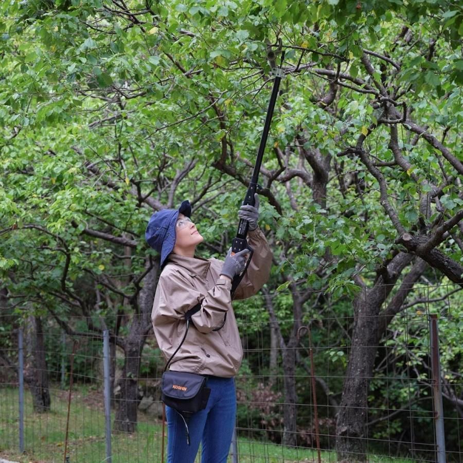 アウトレット品