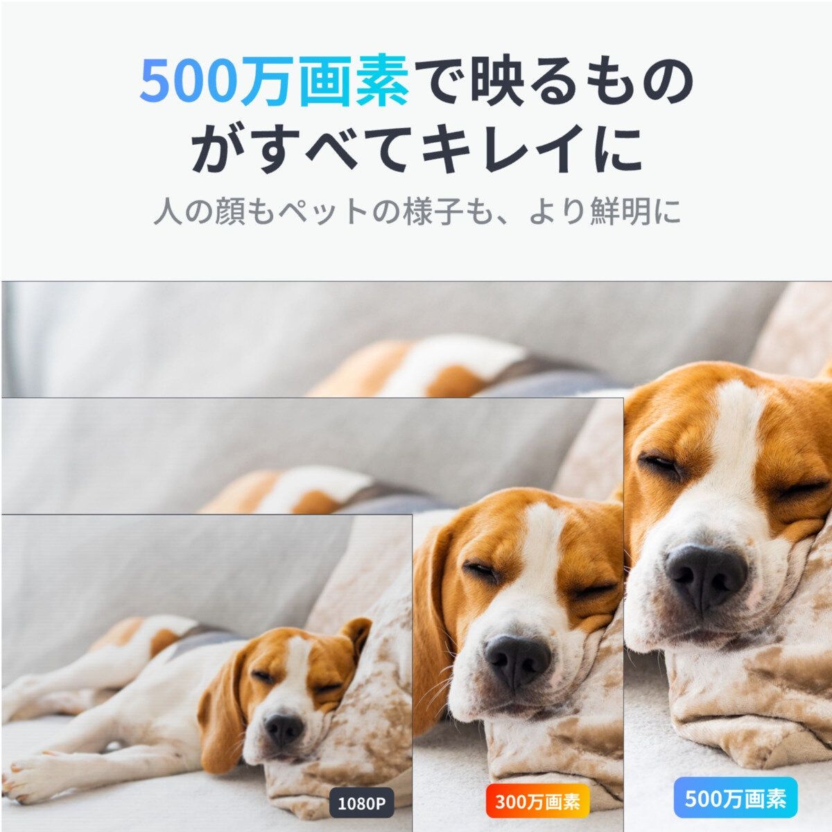 スイッチボット 見守りカメラPlus
