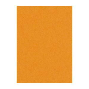 リンテック ニュー Ｒ 4 NCR 210 おうどいろ