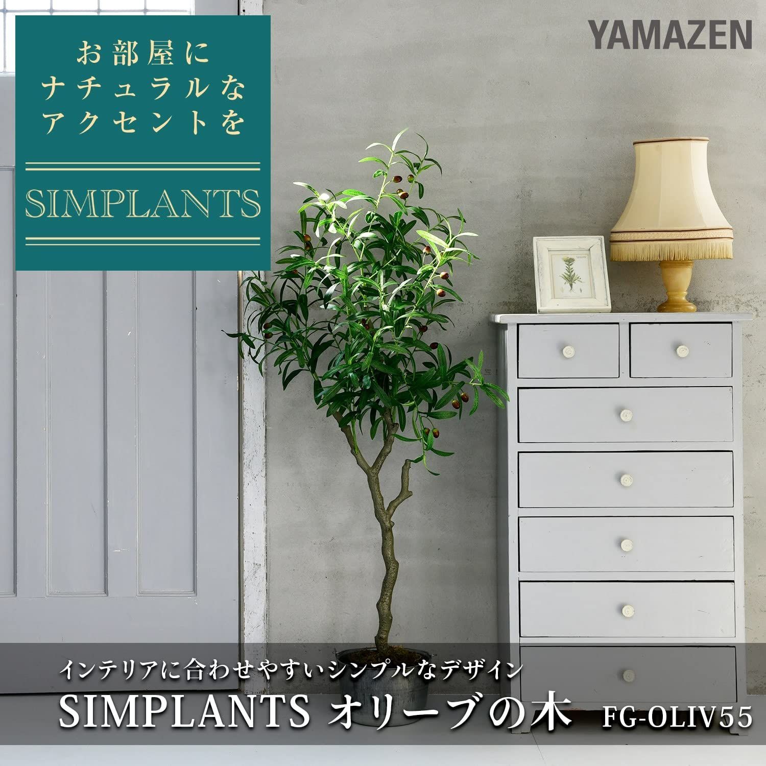 観葉植物 インテリア