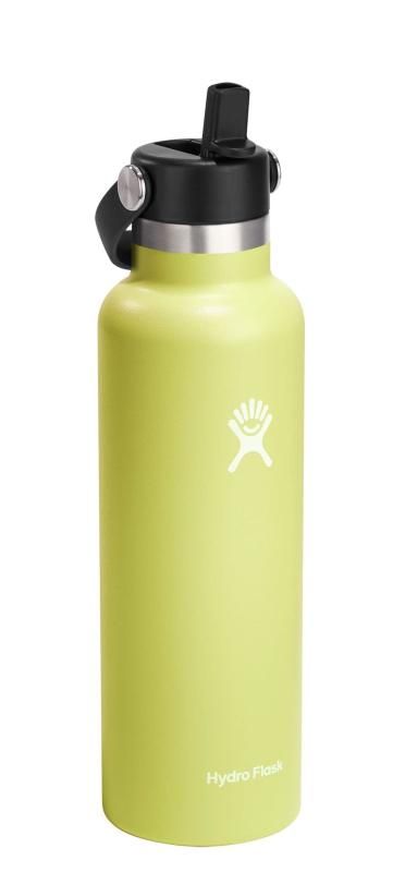 ハイドロフラスク Hydro Flask ハイドレーション ２１オンス 621ml スタンダードマウス フレックスストロー カクタス