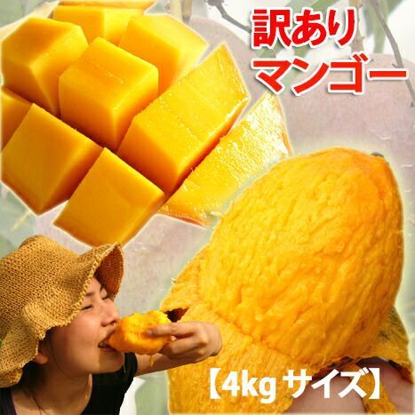 有田焼 たけしの教育委員会で紹介された皿 ベージュ陶器四角形皿 白磁