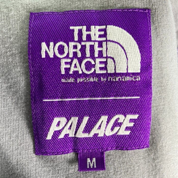 ☆THE NORTH FACE nanamica PURPLE LABEL × PALACE SKATEBOARDS ザ