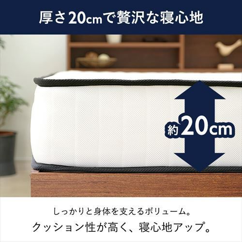 フィット