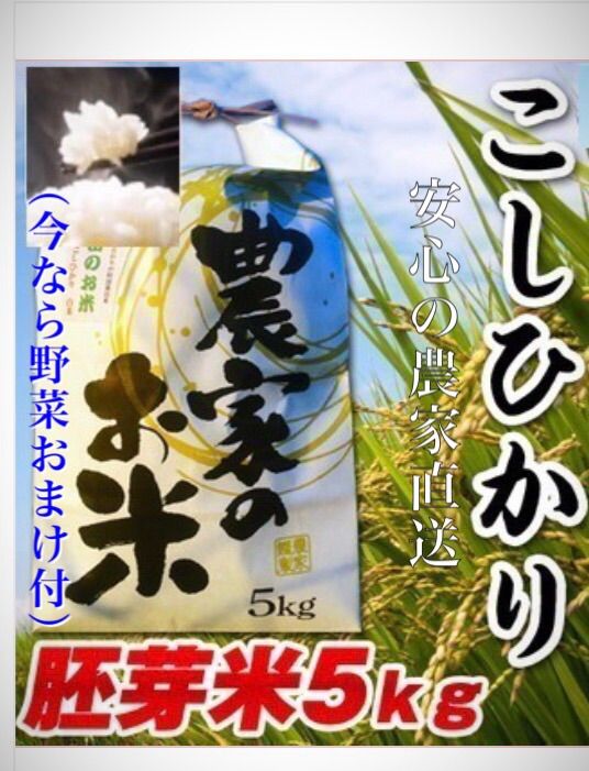 令和4年度産✳︎嬉しい野菜おまけ付♪千葉県産こしひかり 胚芽米5キロ