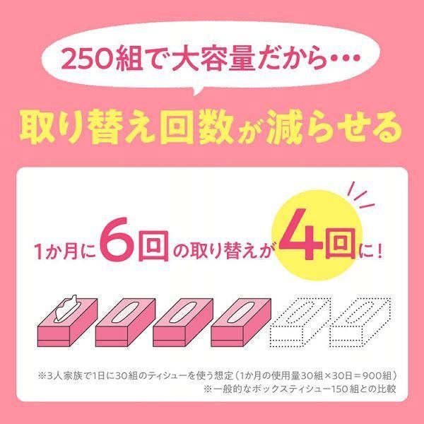 スコッティ
