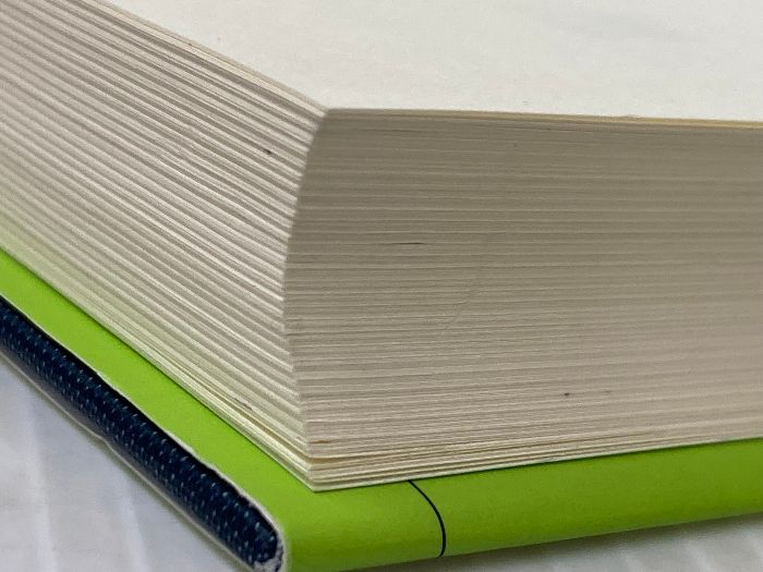 日本最大級の品揃え！ 要件事実の基礎 -- 裁判官による法的判断の構造 新版 有斐閣 伊藤 滋夫 必要最低限