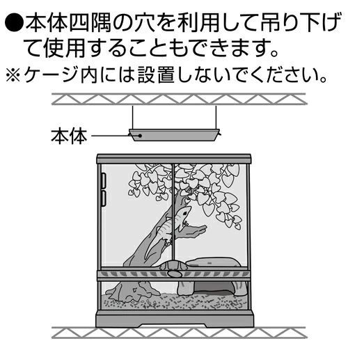 GEX