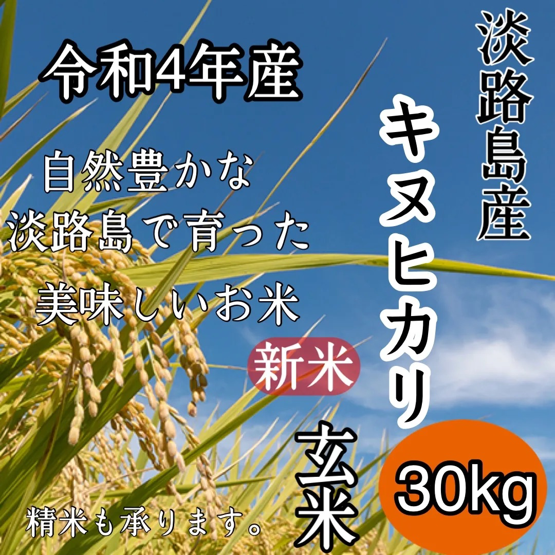 数量限定‼️新米 令和3年産 キヌヒカリ 玄米30キロ 淡路島産 30kg