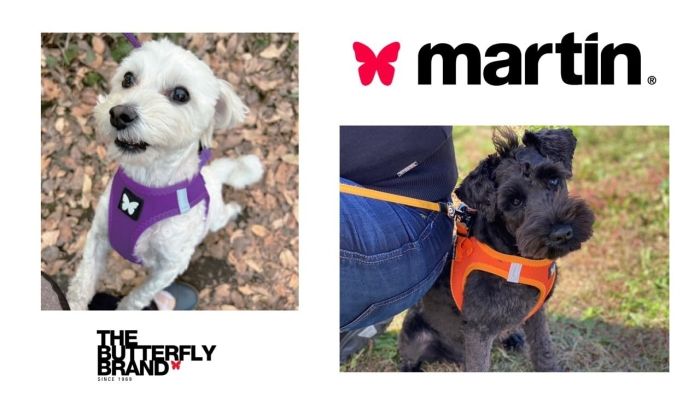 犬用品 【新品・5営業日で発送】MARTIN SELLIER (PZ)martin バタフライ
