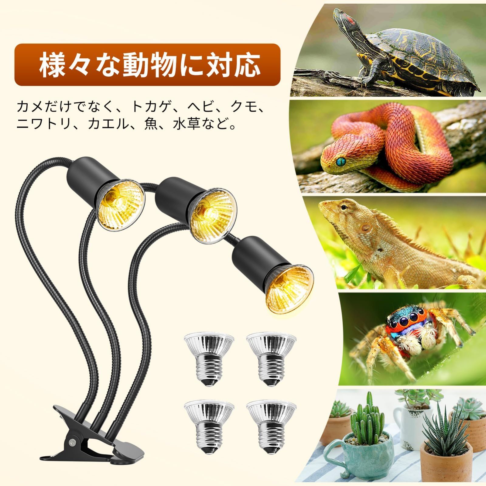 爬虫類 飼育 用品 セット リクガメ Mazuri UVB照明など 【公式通販】