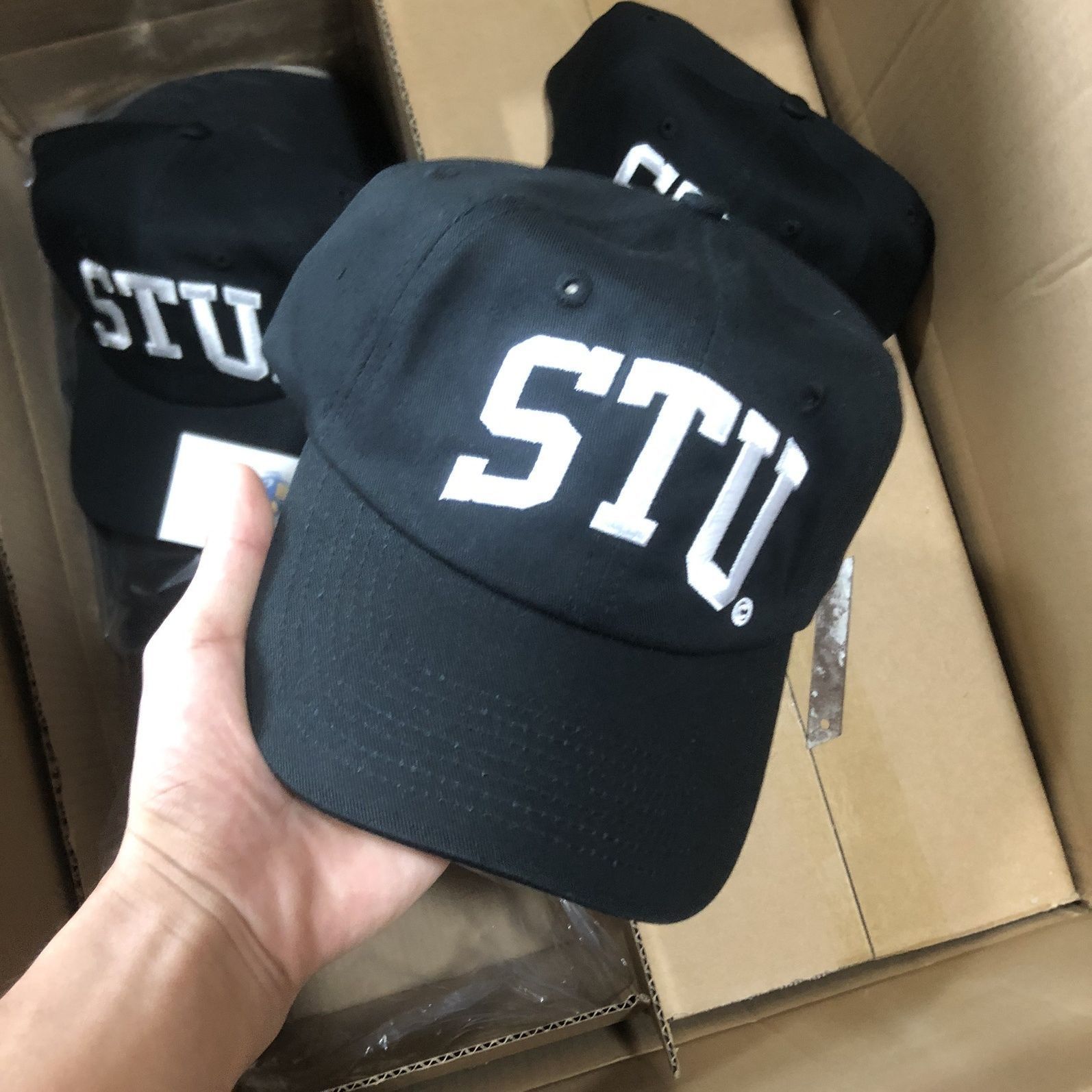 新品 ステューシー STUSSY キャップ 帽子 STU Arch Strapback