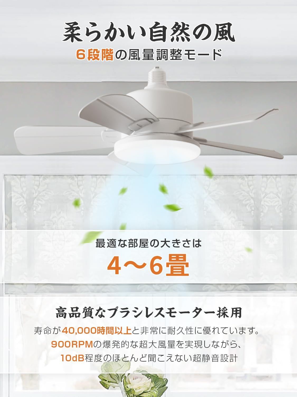 小型