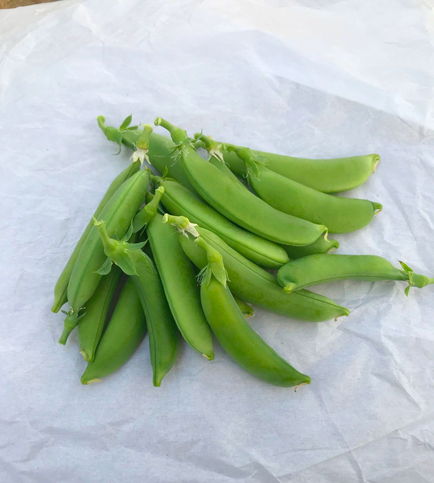 農家直送‼️ スナップエンドウ 500g - 野菜