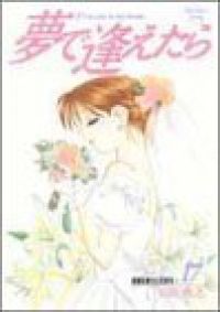 夢で逢えたら　全巻（1-17巻セット・完結）山花典之【1週間以内発送】
