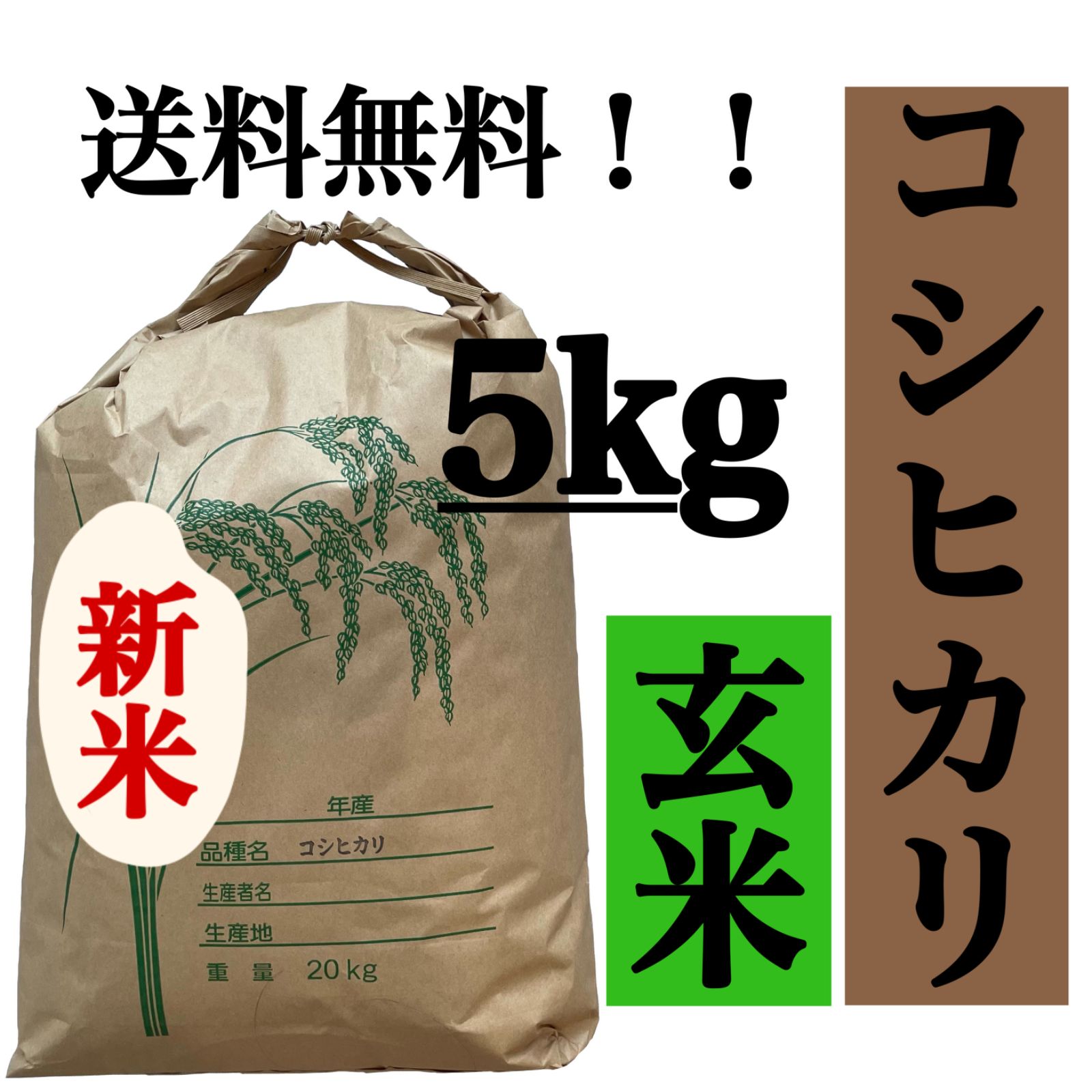 玄米 5kg コシヒカリ 新米 埼玉県産 令和3年産 送料無料 米 5キロ