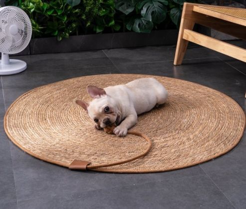 ペット用涼しいマット 編みマット 猫の爪とぎマット 自動遊びボール一体型 犬用 夏用寝マット 耐摩耗 耐引っかき オールシーズン対応