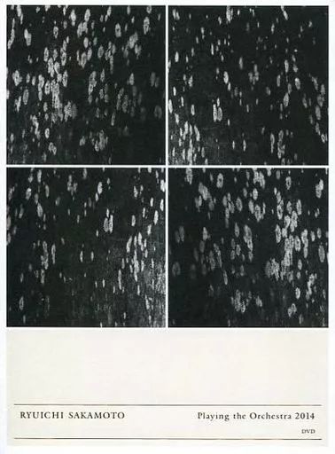 新品未開封 坂本龍一  【Blu】非売品DVD 東京フィルハーモニー交響楽団 坂本龍一 非売品 ニューバランス プロモーションCD-ROM 教授 - メルカリ