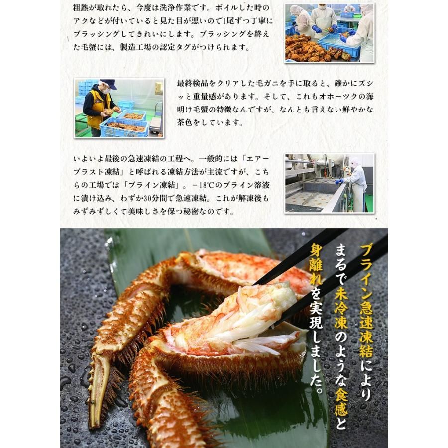 オホーツク海の流氷海明け
