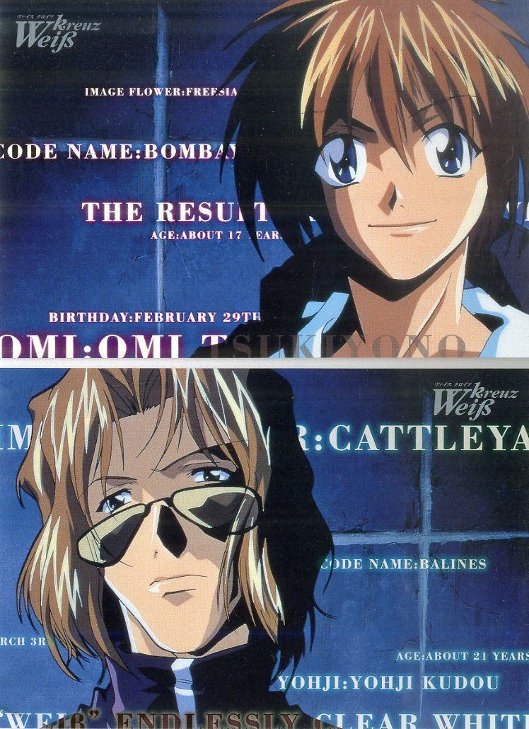 LD1枚 / 子安武人/関智一/三木眞一郎 / ヴァイスクロイツ Kapitel VIII
