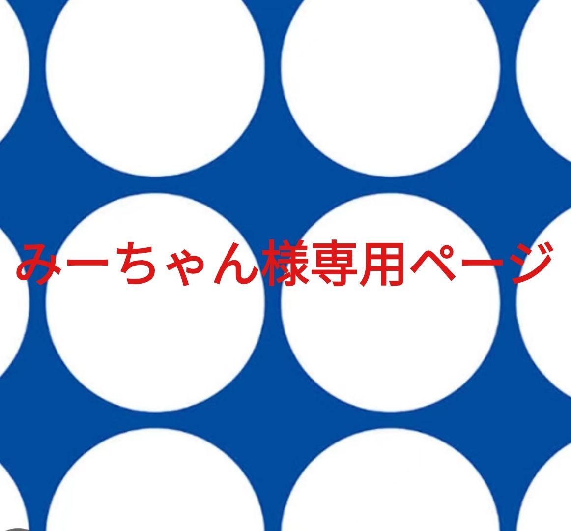 みーちゃん様専用ページです。 - メルカリ