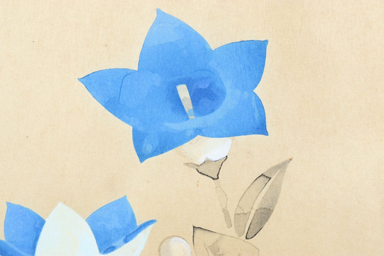 堀文子 「桔梗」 木版画 36/100 アート出版 唐物 骨董 古美術 楾 P48-S