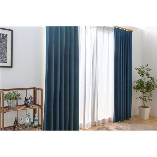 aimar様 リクエスト 着生板　10点 まとめ商品 ビカクシダ　コウモリラン aimar様 リクエスト 着生板 10点 まとめ商品 ビカクシダ コウモリラン