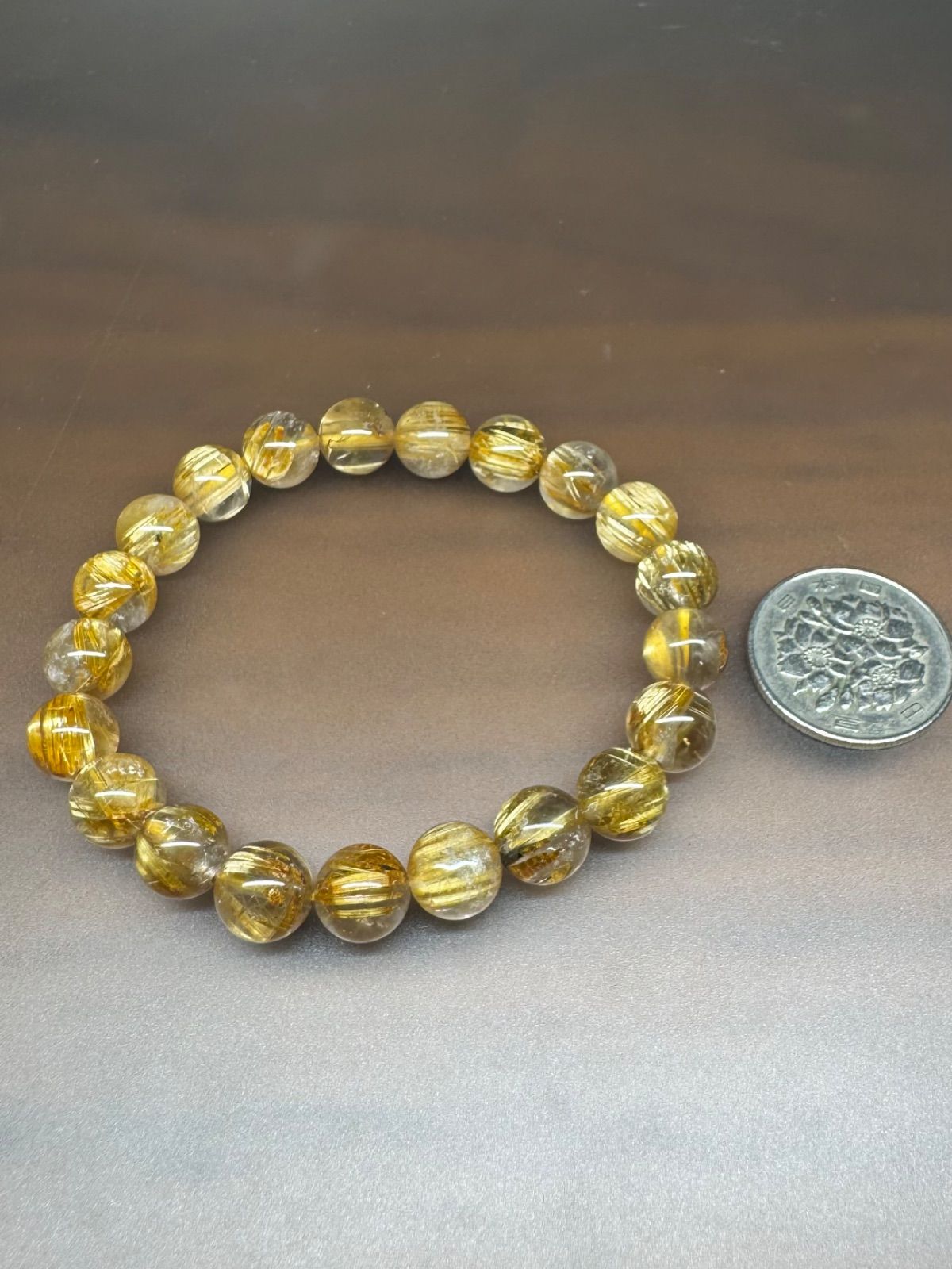 タイチンルチル 腕周り16㎝