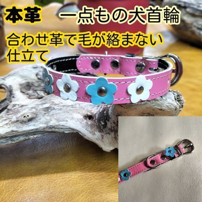 犬 ストア 首輪 毛がない