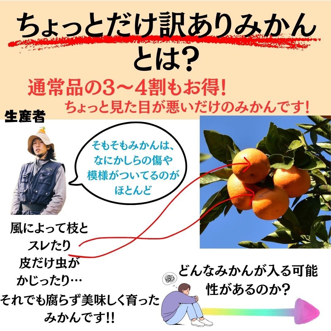 【11/21-26発送】ちょっと訳ありみかん　10kg 和歌山県産　早生