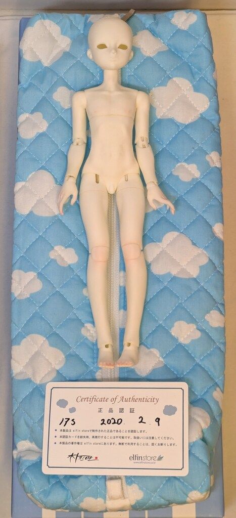 elfin store 1/7（約23） ノアS