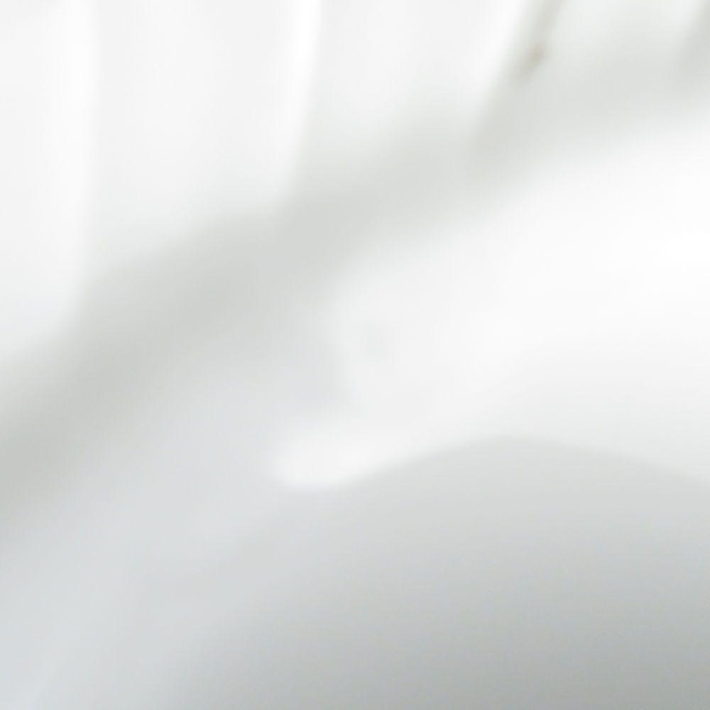 19cmプレート ペア