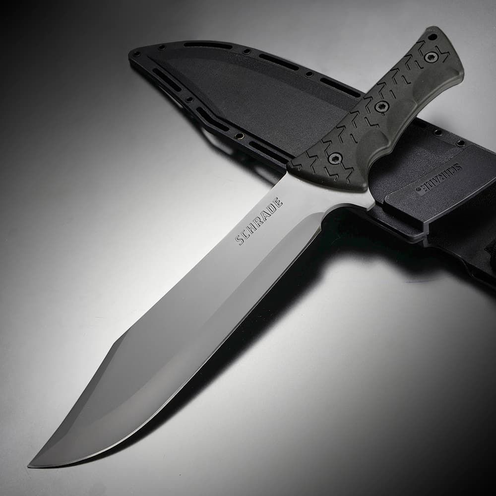 SCHRADE ボウイナイフ Leroy SCHF45 フルタング シース付属 18歳以上
