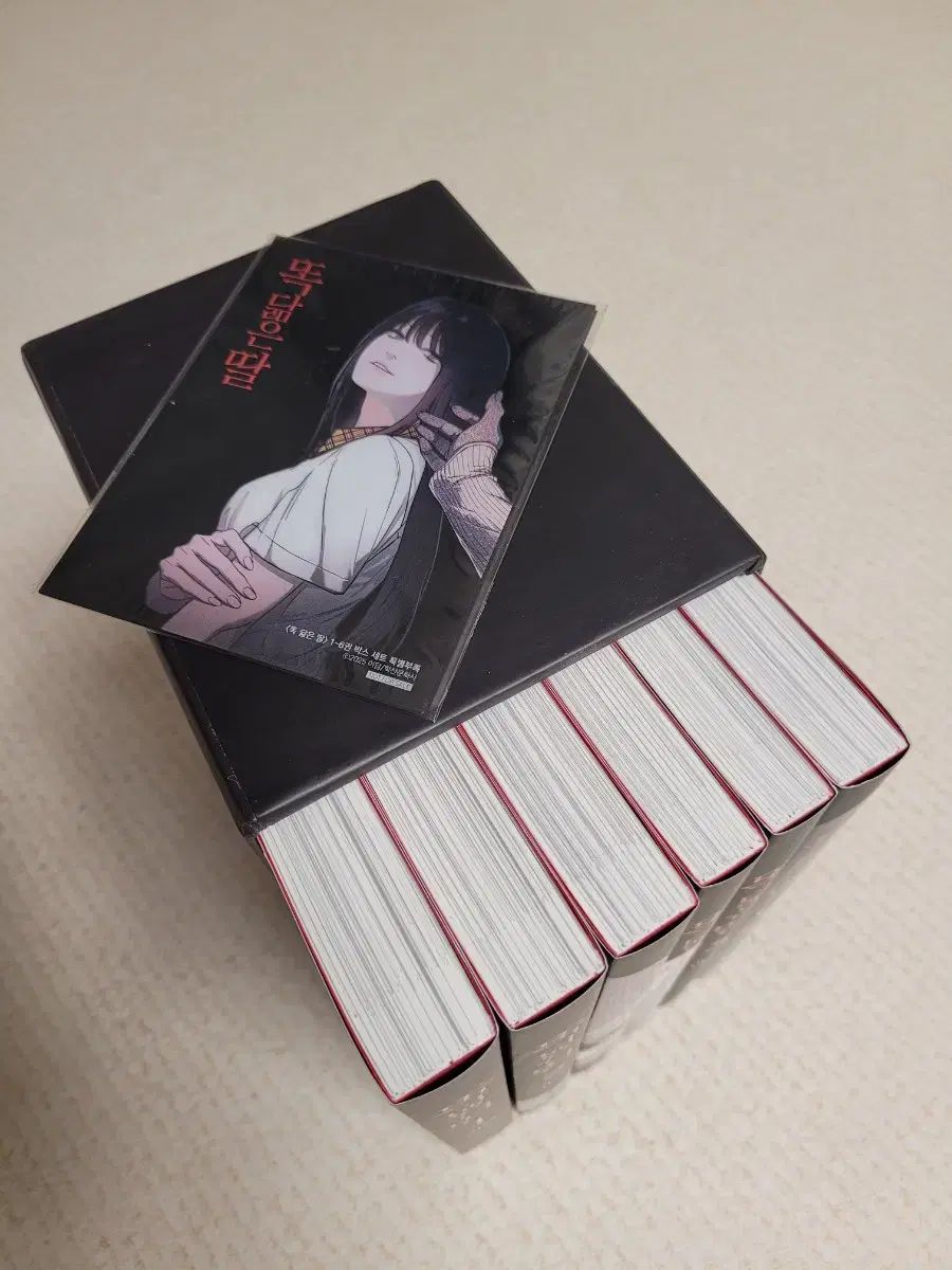 そっくりな娘 1 6 巻 BoxedSet