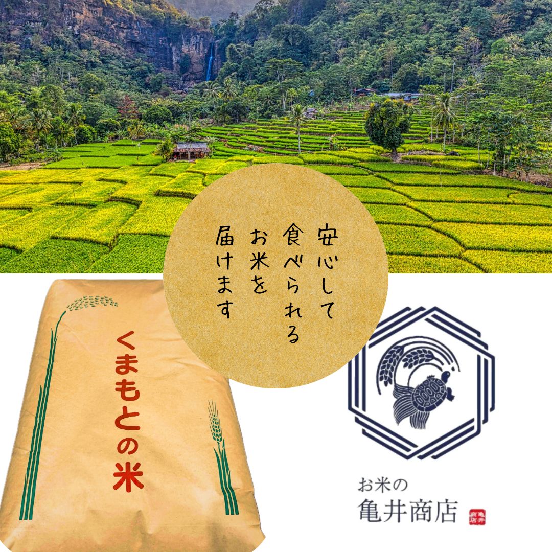 6年熊本 山都町 ヒノヒカリ 20キロ