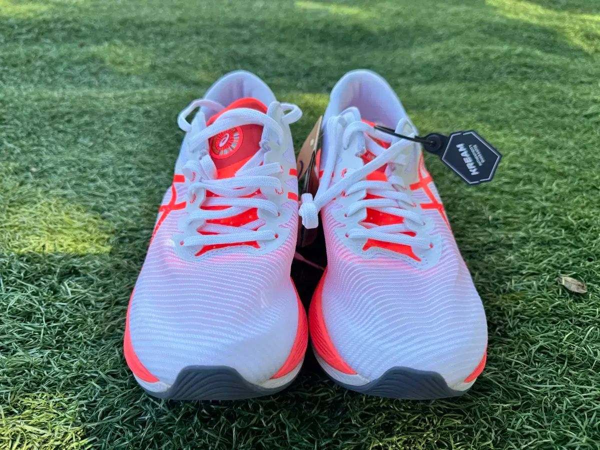 引取優先 アシックス MAGIC SPEED 3 260 新商品 期待の