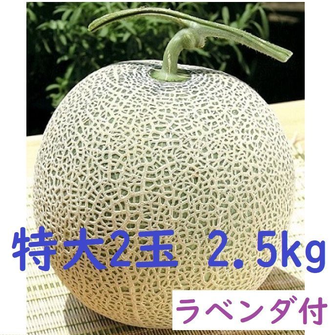 富良野産 赤肉メロン特大２玉 （2.5ｋｇ以上/玉）ラベンダ付き