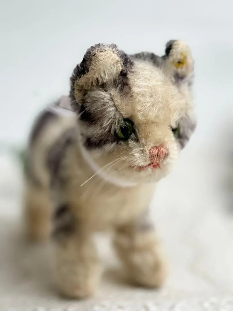 2026年最新】シュタイフ猫の人気アイテム - メルカリ