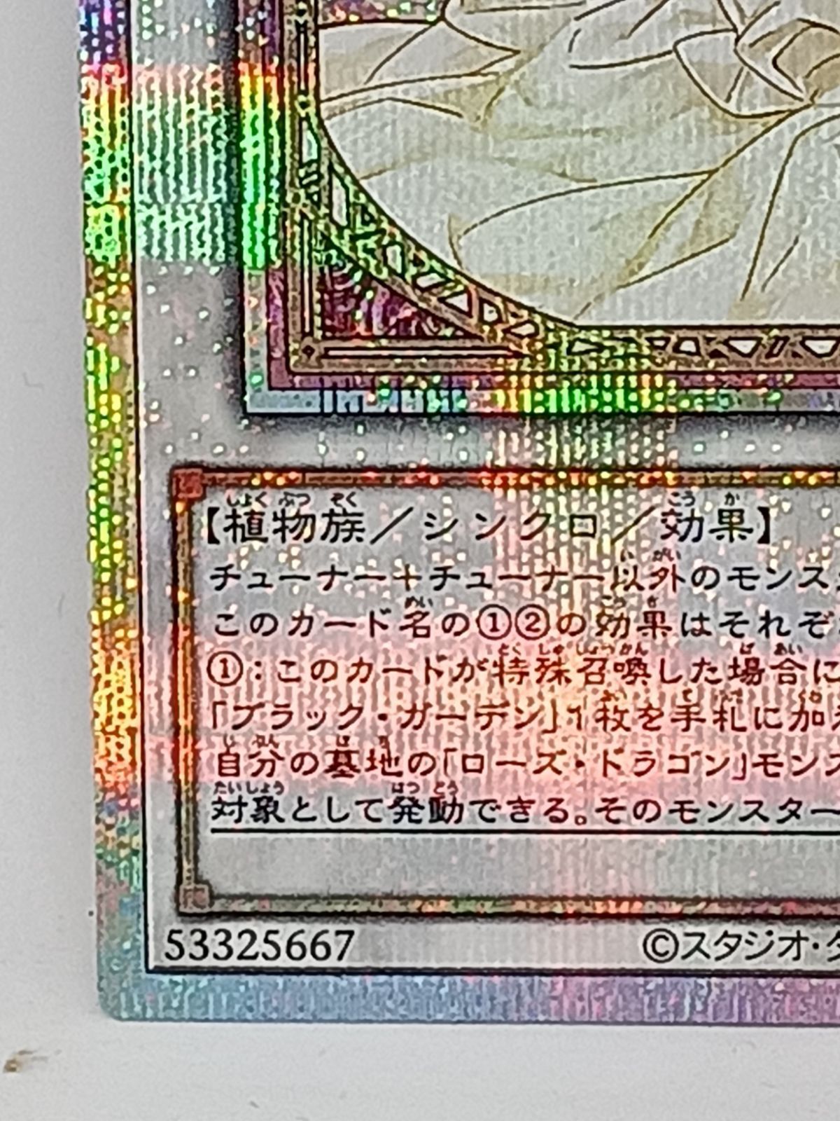 ガーデン・ローズ・メイデン　プリズマティックシークレット 遊戯王 OCG ガーデンローズメイデン プリズマティック