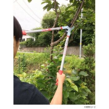 大進