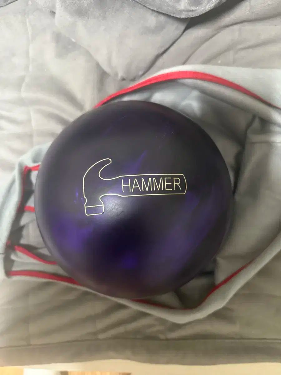 【ハンマーブランド製】ブラック・ウィドー ドミネーション15P 中古 HAMMER(ハンマー) black widow（ブラックウィドウ） パープル