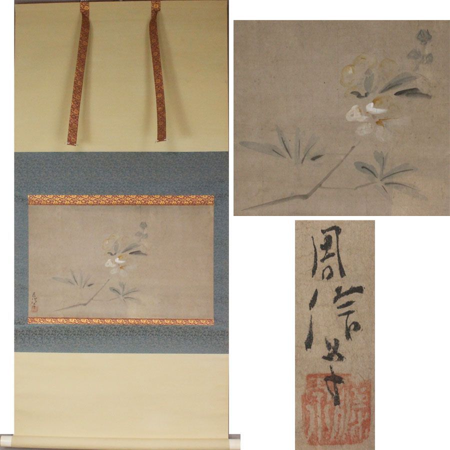 源・M》《江戸期・古画》狩野周信 筆「椿図」/軸装・送料無料